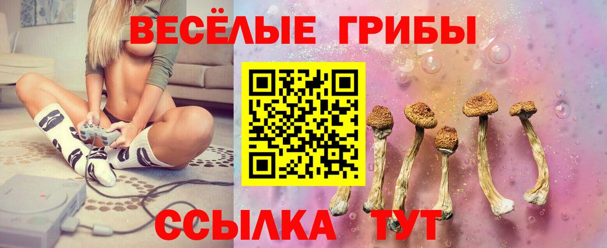 наркошоп  Галлюциногенные грибы ЛСД  Вход с VPN  Серов 